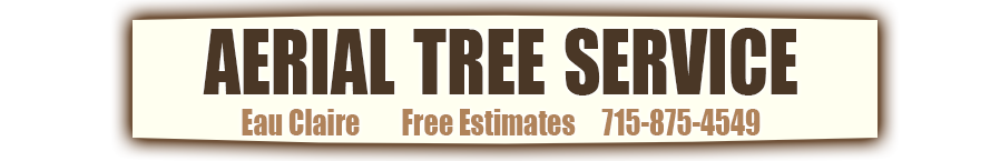 Aerial Tree Service - Eau Cliare